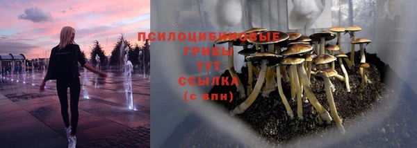 марихуана Богородицк