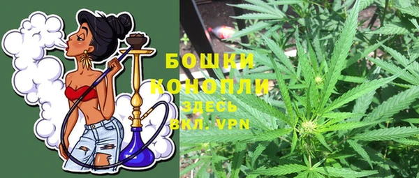 ГАЛЛЮЦИНОГЕННЫЕ ГРИБЫ Беломорск