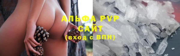 ешки Богданович